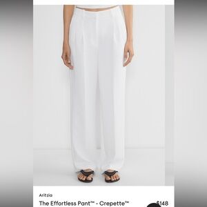 Aritzia Wide-Leg Pleated Trousers
